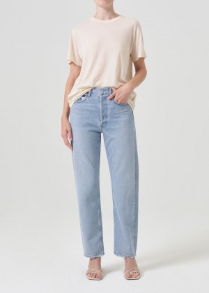 Denim Agolde 90's Mid Rise Straight Femme Snapshot | SUKWT-6105