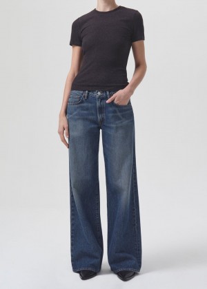 Denim Agolde Clara Low Rise Baggy Flare Femme Noise | IGZAL-3564