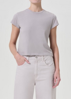 Hauts Agolde Adine Shrunken Tee Femme Flake | IPTCX-6873