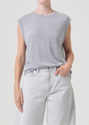 Hauts Agolde Raya Muscle Tee Femme Grise | ORDNM-7581