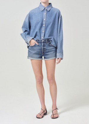 Short Agolde Parker Vintage Rolled Short Femme Ruin | QNXYF-5478